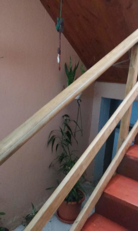 Hotel E Pousada Via Mar Itapocu Eksteriør billede